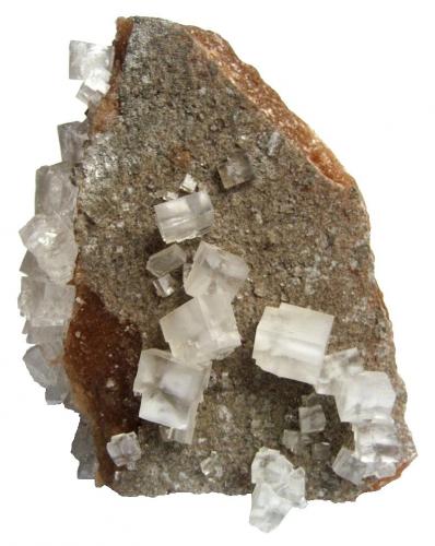 Halite
Neuhof-Ellers Potash Works, Neuhof, Fulda, Hesse, Germany
11 x 8 cm
Collection & Photo: Tobias Martin (Author: Tobi)