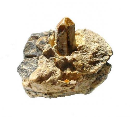 Talc ps. after quartz
Johanneszeche mine, Göpfersgrün, Fichtelgebirge, Bavaria, Germany
3,6 x 2,8 cm (Author: Andreas Gerstenberg)