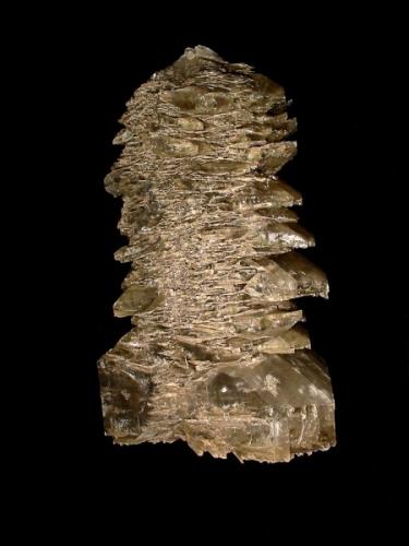 Gypsum
Hammerthal clay pit, Bad Freienwalde, Brandenburg, Germany
10 x 5,5 cm (Author: Andreas Gerstenberg)