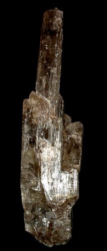 Gypsum
Finsterwalde, Lower Lusatia, Brandenburg, Germany
13,5 x 4,5 cm (Author: Andreas Gerstenberg)