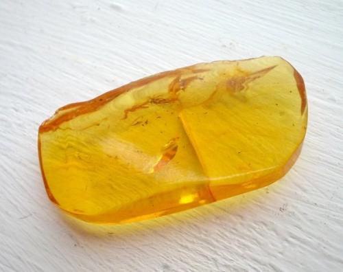 Amber
Thorwaldsenstraße, Steglitz, Berlin, Germany
5,2 x 2,6 cm
Found in the late 1970s during the construction of a house. (Author: Andreas Gerstenberg)