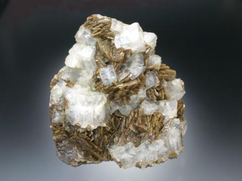 Fluorite and Siderite
Stolberg, Harz Mts., Saxony-Anhalt
10x9x5 cm overall size (Author: Jesse Fisher)