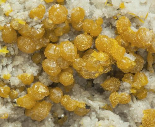 Pyromorphite
Clara Mine, Rankach valley, Wolfach, Schwarzwald, Baden-Württemberg, Germany
Main crystal size: 0.4 × 0.4 cm
Mined in 1998
Detail (Author: Jordi Fabre)