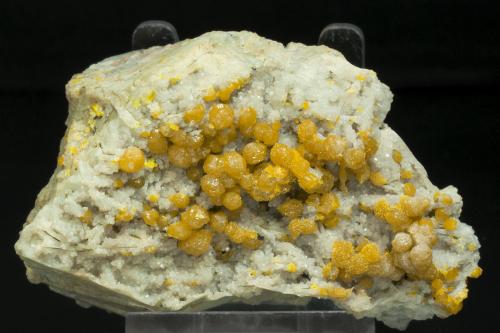 Pyromorphite
Clara Mine, Rankach valley, Wolfach, Schwarzwald, Baden-Württemberg, Germany
Specimen size: 7.6 × 4.8 × 4.4 cm
Main crystal size: 0.4 × 0.4 cm
Mined in 1998

Specimen & Photo: Reference Specimens (Author: Jordi Fabre)