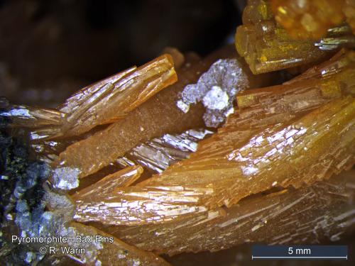 Pyromorphite
Bad Ems - Rhineland - Palatinate, Germany. (Author: Roger Warin)