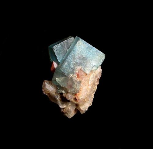 Fluorite
24 shaft, Pöhla, Erzgebirge, Saxony, Germany
3 x 2 cm
Rare colour for Pöhla. (Author: Andreas Gerstenberg)