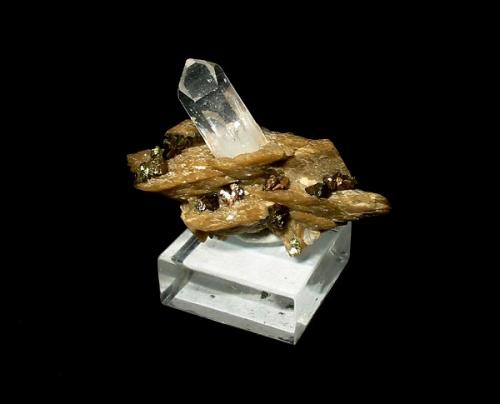 Rock crystal, siderite, chalcopyrite
Pfannenberger Einigkeit mine, Salchendorf, Siegerland, Northrhine-Westphalia, Germany
4 x 3,5 cm (Author: Andreas Gerstenberg)