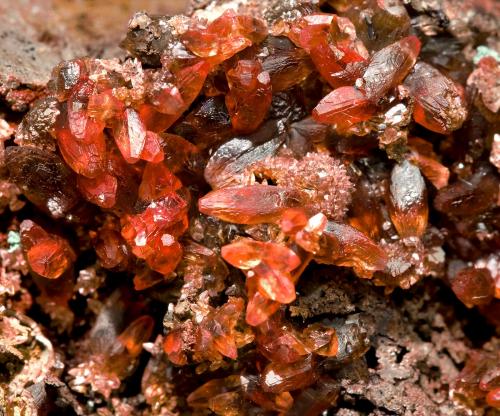 Rhodochrosite
Wolf Mine, Herdorf, Siegerland, Rhineland-Palatinate, Germany
Main crystal size: 0.5 × 0.3 cm
Former collection of Folch (duplicates)

Specimen & Photo: Reference Specimens (Author: Jordi Fabre)