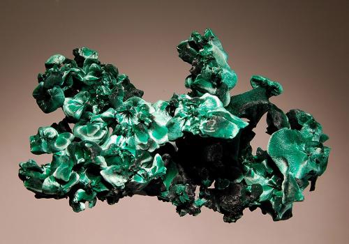 Malachite
Kiswishi Mine, Lubumbashi, Katanga Prov., DR Congo
4.5 x 7.0 cm
Velvety green chatoyant crystal sheaves. (Author: crosstimber)