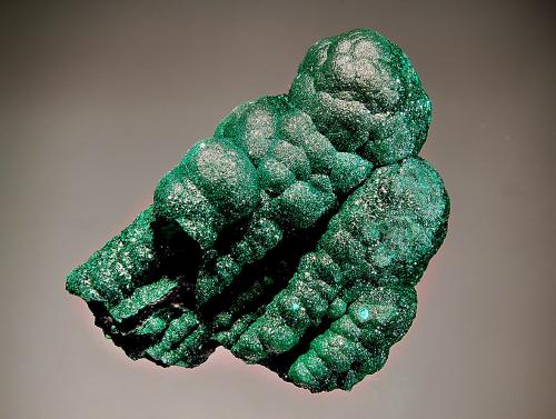 Malachite
Mashamba West Mine, Kolwezi, Katanga Prov., DR Congo
5.6 x 6.8 cm
Stalactitic forms coated with dark green malachite microcrystals. (Author: crosstimber)