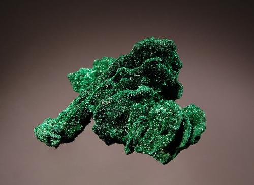 Malachite ps. after barite
Mashamba West Mine, Kolwezi, Katanga Prov., DR Congo
5.0 x 5.3 cm
Velvety malachite replacing crystals of bladed barite. (Author: crosstimber)