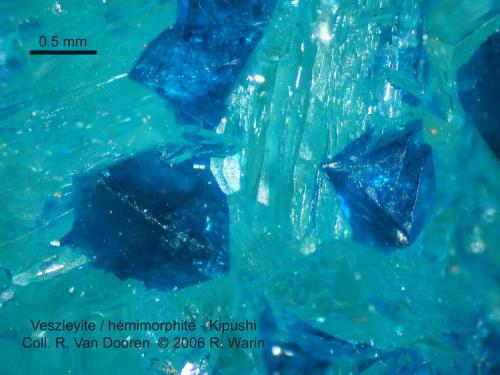 Veszelyite
Kipushi, Katanga, D.R. Congo
found more recently (Author: Roger Warin)