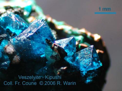 Veszelyite
Kipushi, Katanga, D.R. Congo (Author: Roger Warin)