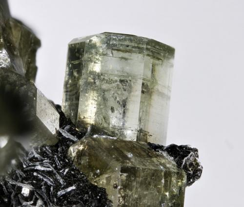 Fluorapatite
Panasqueira mine, Couto Mineiro da Panasqueira, Covilhä, Dist. de Castelo Branco, Portugal.
FOV 9,31mm
1,37x. Focus rail MacroRail. Canon EOS 600D. Ikea lights
Photo: Oscar Fernández Arcís, Mineral: Manuel de Torres (Author: ofarcis)