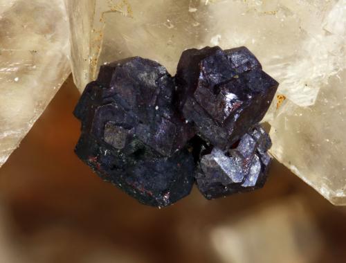 Cuprite
Tsumeb mine, Tsumeb, Otjikoto, Namibia
FOV 4,74mm
3,9x. Focus rail MacroRail. Canon EOS 600D. Ikea lights. 
Photo: Oscar Fernández Arcís. Mineral: Manuel de Torres (Author: ofarcis)