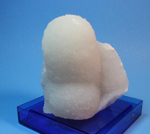 Quartz
Aurangabad, Maharashtra State, India
10 x 9 cm (Author: Don Lum)