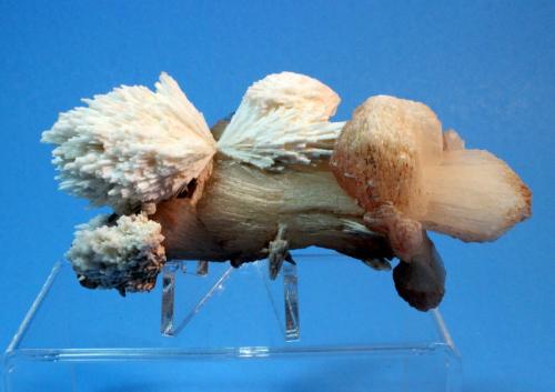 Scolectite, Stilbite
Kannad, Aurangabad, India
10 x 4 cm (Author: Don Lum)