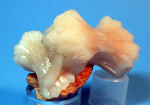 Stilbite
Nasik, Maharashtra State, India
9.5 x 6 cm (Author: Don Lum)