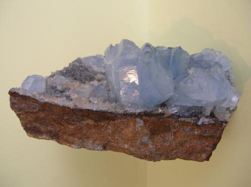 Celestina<br />Algameca, Algameca Chica, Cartagena, Comarca Campo de Cartagena, Región de Murcia (Murcia), España<br />14 x 10 cm<br /> (Autor: Pedro Conesa)
