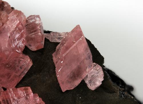 Rhodochrosite
Uchucchaqua mine. Lima. Peru
FOV 10,58mm
1,9x. Focus rail MacroRail. Canon EOS 600D. Ikea lights
Photo: Oscar Fernández Arcís, Mineral: Manuel de Torres (Author: ofarcis)