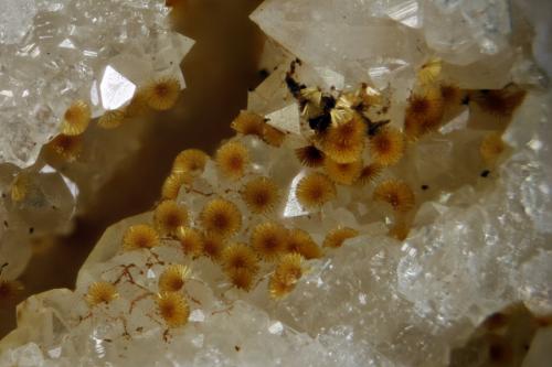 Cacoxenite
La Paloma mine. Zarza la Mayor. Cáceres. Extremadura. Spain
FOV 5,56mm
4x. Focus rail MacroRail. Canon EOS 600D. Ikea lights
Photo: Oscar Fernández Arcís, Mineral: Manuel de Torres (Author: ofarcis)