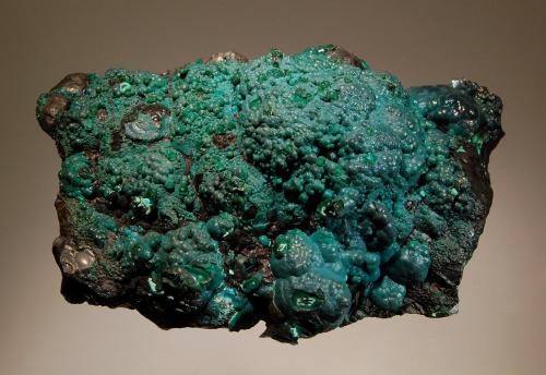 Pseudomalachite
Star of Congo Mine, Lubumbashi, Katanga Prov., DR Congo
7.4 x 11.0 cm
Bluish-green botryoidal pseudomalachite overlaying massive black tenorite. (Author: crosstimber)