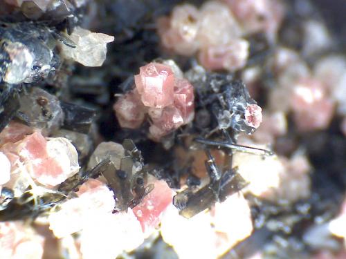 Nepheline, leucite, pyroxene group
Ringseitert, Kirchweiler, Daun, Eifel, Rhineland-Palatinate, Germany
50X
A pink hexagonal prism of nepheline (center), a colourless leucite trapezohedron (top left) and dark olive translucent tabular pyroxene crystals (possibly enstatite).  The specimen contains also apatite needles (not visible here). (Author: prcantos)