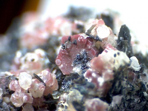 Nepheline
Ringseitert, Kirchweiler, Daun, Eifel, Rhineland-Palatinate, Germany
60X
A complex pink hexagonal prism of nepheline. (Author: prcantos)