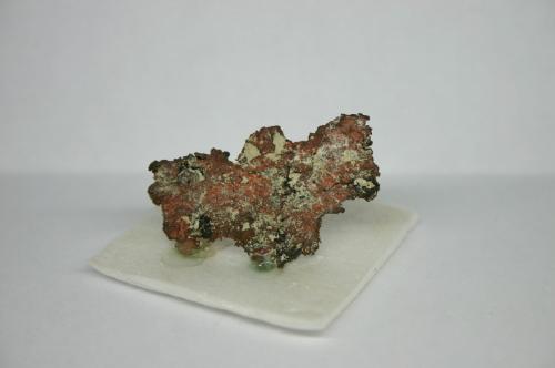 Cobre Nativo
Mina de Ajo, Ajo District, Pimak County, Arizona, Estados Unidos
36mm - 24mm - 2mm (Autor: Pedro Naranjo)