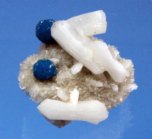 Cavansite, Stilbite
Poona, Maharashtra State, India
5.5 x 5.0 cm (Author: Don Lum)