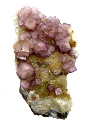 Fluorite
Wolkenstein, Marienberg District, Erzgebirge, Saxony, Germany
Specimen height 6 cm, largest fluorite cube 6 mm (Author: Tobi)