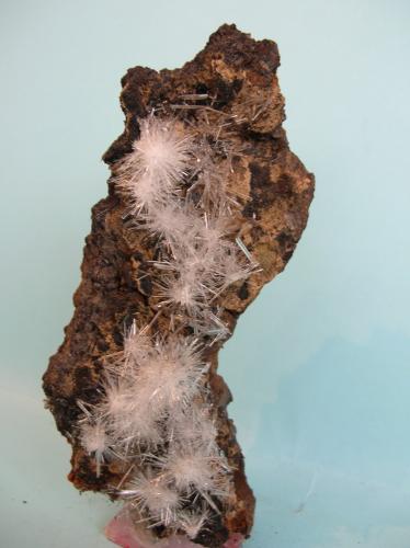 Yeso<br />San Timoteo Mine, Pico del Águila, Sierra Minera de Cartagena-La Unión, Cartagena, Comarca Campo de Cartagena, Region of Murcia (Murcia), Spain<br />15 x 7,5 cm<br /> (Autor: Pedro Conesa)