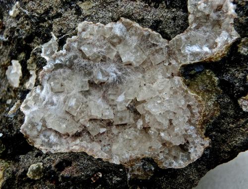 Chabazita
Montaña Blanca, Agaete, Gran Canaria, Islas Canarias, España.
Ancho de imagen 3,5 cm
Los pelillos y manchas blancas que resaltan sobre los cristales de chabazita son de natrolita-mesolita. (Autor: María Jesús M.)