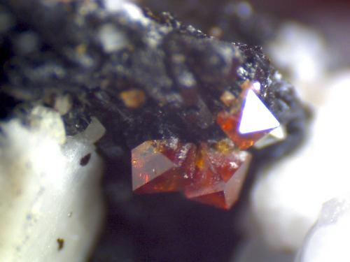 Pirocloro
Volcán Água de Pau, San Miguel Island, Azores District, Portugal
180X
Detalle de los cristales octaédricos de pirocloro (el agregado que aparecía a la derecha en la primera fotografía). (Autor: prcantos)