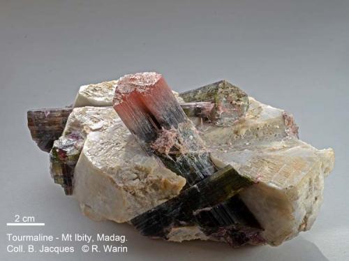 Tourmaline
Mt Ibity, Madagascar
with feldspath (orthoclase ?) (Author: Roger Warin)