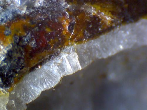 Phillipsite
Limberg Quarries, Sasbach, Kaiserstuhl, Baden-Württemberg, Germany
175X
Phillipsite showing radiating habit covers the surface of the cavities. (Author: prcantos)
