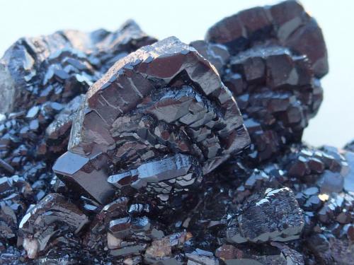 Descloizita
Berg Aukas, Grootfontein, Namibia
5 x 3,5 cm.

Detalle (Autor: javier ruiz martin)