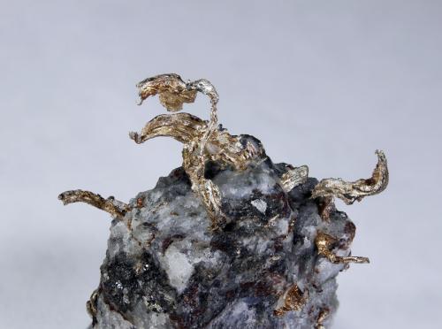 Silver
Uchucchacua mine. Oyon. Lima. Peru.
FOV 31.03mm
0.79x. Focus rail MacroRail. Canon EOS 600D. Ikea lights 
Photo: Oscar Fernández Arcís, Mineral: Manuel de Torres (Author: ofarcis)