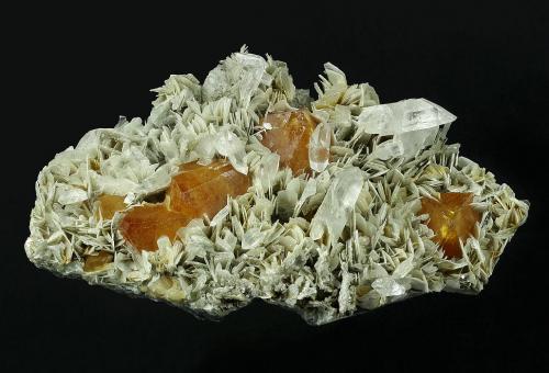 Scheelite and Quartz on Muscovite
Mt. Xuebaoding, Pingwu County, Mianyang Prefecture, Sichuan Province, China
174 x 98 x 51 mm overall
Five orange Scheelites to 30 mm are nestled in a matrix of Muscovite. Clear Quartz points, some doubly terminated, to 29 x 12 mm accent the specimen. (Author: GneissWare)