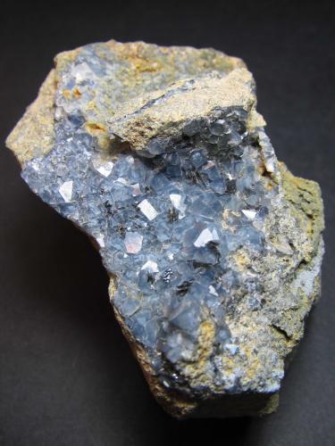 Cuarzo y hematites
Cantera La Juanona, Antequera, Málaga, Andalucía, España
7 x 5 cm.
Cristales de cuarzo azul sobre ofita con algunas hojas negras de hematites. (Autor: prcantos)