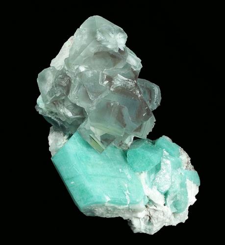 Fluorite on Microcline (v. Amazonite)
Confetti Pocket, Smoky Hawk Mine, Buckner Pegmatite, Florissant, Teller Co., Colorado, USA

79 x 52 x 35 mm overall

A cluster of Fluorite crystals to 18 mm is perched on rich-blue-green, tabular Amazonite crystals to 25 x 23 mm. This is one of two pieces found in the pocket, and is the best of the two. (Author: GneissWare)