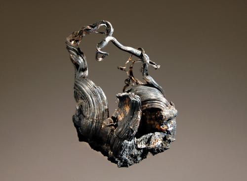 Silver
Himmelsfurst Mine, Brand-Erbisdorf, Freiberg District, Saxony-Anhalt, Germany
3.0 x  5.5 cm
Ropy native silver wires from a classic German locality. (Author: crosstimber)