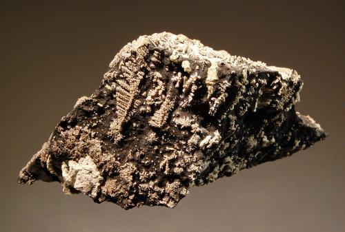 Silver
Pöhla-Tellerhäuser Mine, Block 0985, Pöhla, Erzgebirge, Saxony-Anhalt, Germany
4.2 x 7.4 cm
Dendritic herring-bone silver crystals scattered over a native arsenic matrix. (Author: crosstimber)