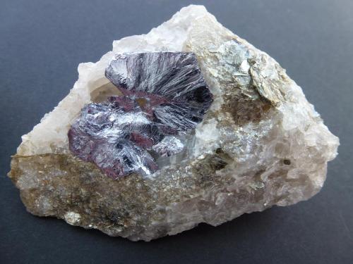 Molibdenita, Cuarzo
Mina Moli Hill, La Motte, Abitibi-Temiscaminge, Québec, Canada
6 x 6 cm. (Autor: javier ruiz martin)
