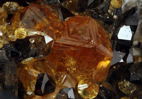 Spessartine & smoky quartz
Tongbei. Yunxiao Co., Zhangzhou. Fujian. China
FOV 10.76mm
1.9x. Focus rail MacroRail. Canon EOS 600D. Ikea lights 
Photo: Oscar Fernández Arcís, Mineral: Manuel de Torres (Author: ofarcis)