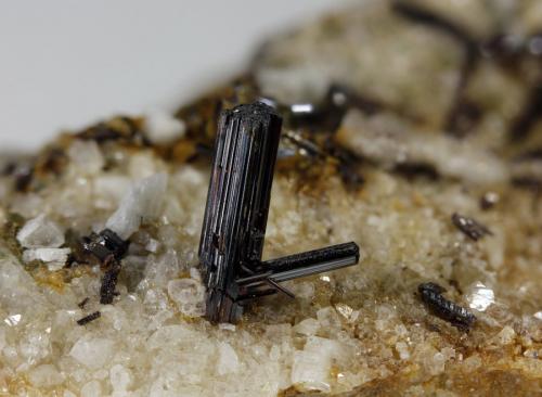 Rutile
Marble quarries. Macael. Almería. Andalusia. Spain
FOV 24.53mm
0.79x. Focus rail MacroRail. Canon EOS 600D. Ikea lights 
Photo: Oscar Fernández Arcís, Mineral: Manuel de Torres (Author: ofarcis)