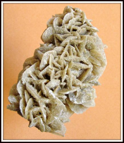 Sand Selenite  Gypsum (Var: Selenite)
Chihuahua, Mexico
8*4 cm (Author: h.abbasi)