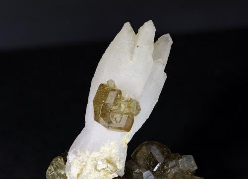 Andradite
Dist. de Ambanja. Región Diana. Prov. de Antsiranana. Madagascar
FOV 3.87cm
0.52x. Focus rail MacroRail. Canon EOS 600D. Ikea lights 
Photo: Oscar Fernández Arcís, Mineral: Manuel de Torres (Author: ofarcis)