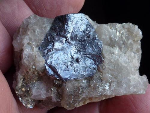 Molibdenita, Cuarzo
Mina Moli Hill, La Motte, Abitibi-Temiscaminge, Québec, Canada
6 x 4 cm. (Autor: javier ruiz martin)