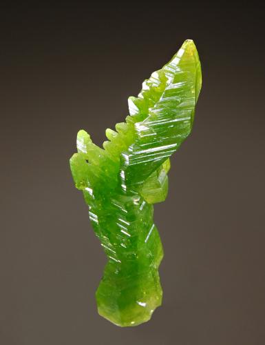 Pyromorphite
Yangshuo Mine, Guilin Pref., Guangxi Zhang AR, China
2.0 x 3.0 x 4.5
I love the sculpural habit of this piece. (Author: crosstimber)